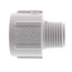 1/2" X 3/4" TT Ipt Adapter Sch 40 - Fittings