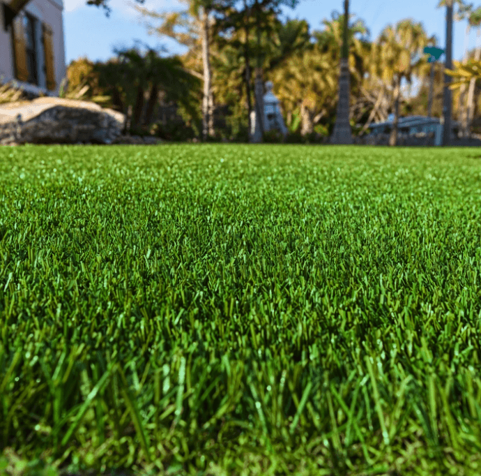 Synthetic Turf